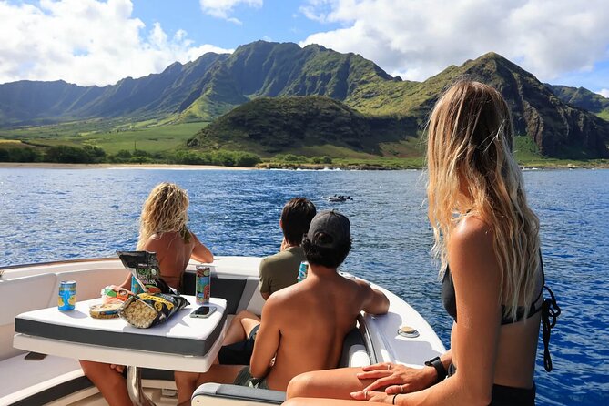 Swim With Dolphins & Turtles in West Oahu (Semi-Private Tours) - Wildlife Encounters