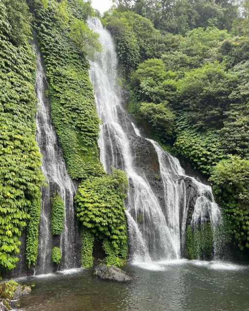 Swim With Dolphins, Ulundanu Bratan & Banyumala Waterfall - Exceptional Customer Feedback