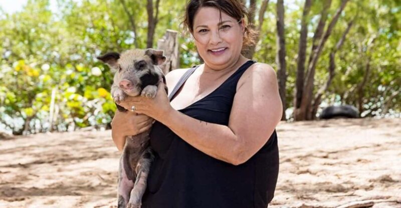 Swim With Famous Pigs at Rose Island - Key Points