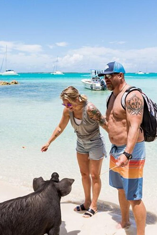 Swim With Famous Pigs at Rose Island - Pricing and Booking
