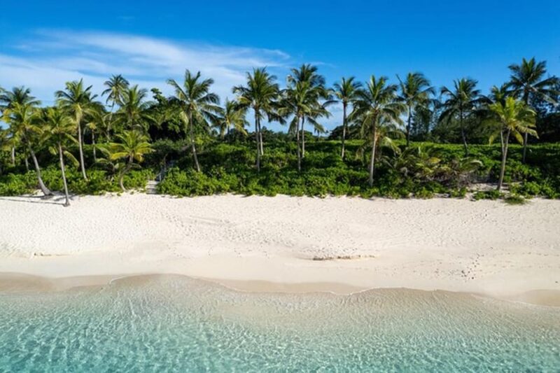 Swim With Famous Pigs at Rose Island - Meeting Point
