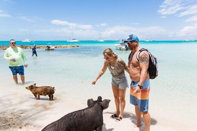 Swim With Famous Pigs at Rose Island - Preparing for Your Adventure