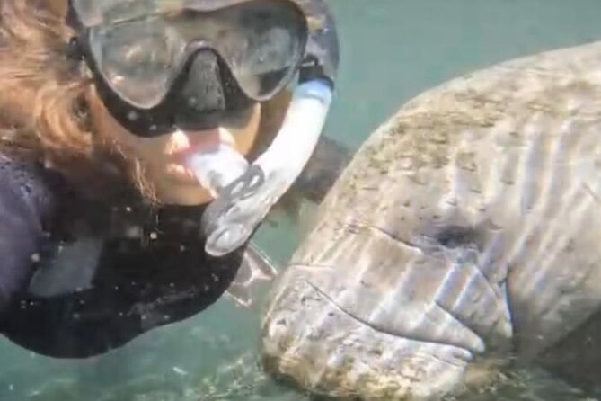 Swim With Manatees Crystal River FL FREE PHOTOS & INWATER GUIDE - Key Points