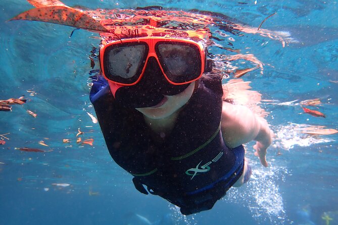 Swim With Manatees In Crystal River, Florida - Kayaking and Snorkeling Highlights