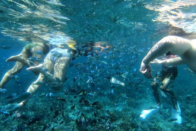 Swim With Manta Rays and Day Tour to Lembongan From Bali (A) - Booking Information
