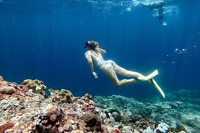 Swim With Manta Rays and Day Tour to Lembongan From Bali (A) - Manta Ray Swim and Snorkeling