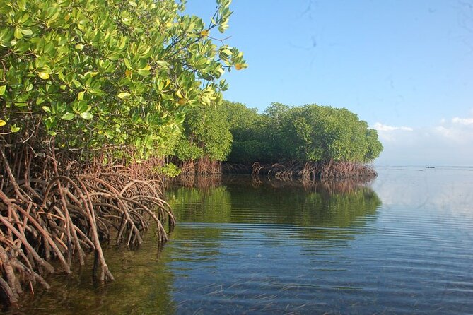 Swim With Manta Rays and Day Tour to Lembongan From Bali (A) - Village Tour by Car