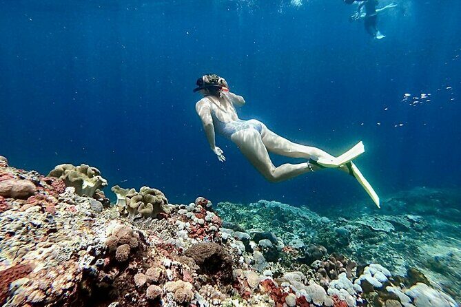 Swim with Manta Rays: Snorkeling Day Trip from Bali - An Overview of the Tour Experience