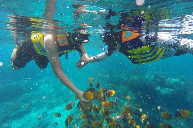 Swim With Manta Rays : Snorkeling Day Trip From Bali (B) - Meeting and Pickup Details