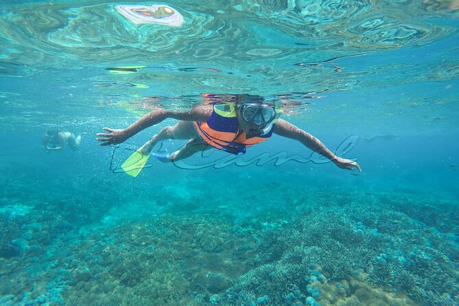 Swim With Manta Rays : Snorkeling Day Trip From Bali - Pricing and Cancellation Policy