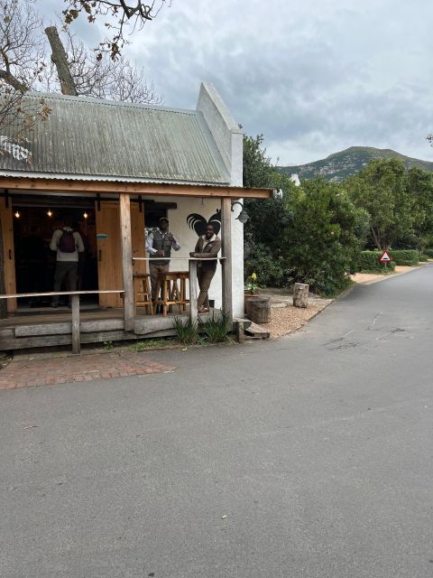 Swim With Penguins at Boulders Beach Penguin Colony - Noordhoek Farm Village