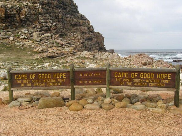 Swim With Penguins at Boulders Chapmans Peak + Seals Inc Tickets - Key Points