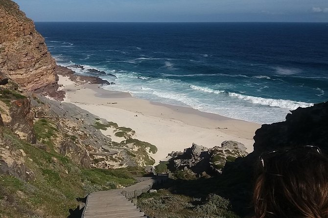 Swim With Penguins at Boulders Chapmans Peak + Seals Inc Tickets - Customer Reviews and Ratings