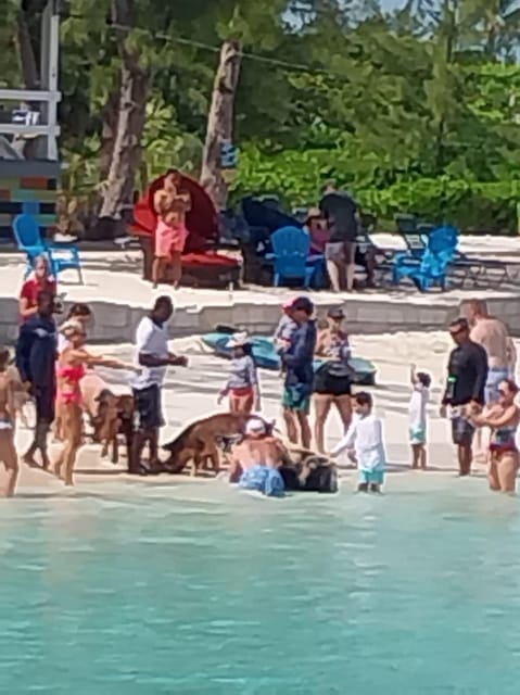 Swim With Pigs, Rose Island, Bahamas - Recap
