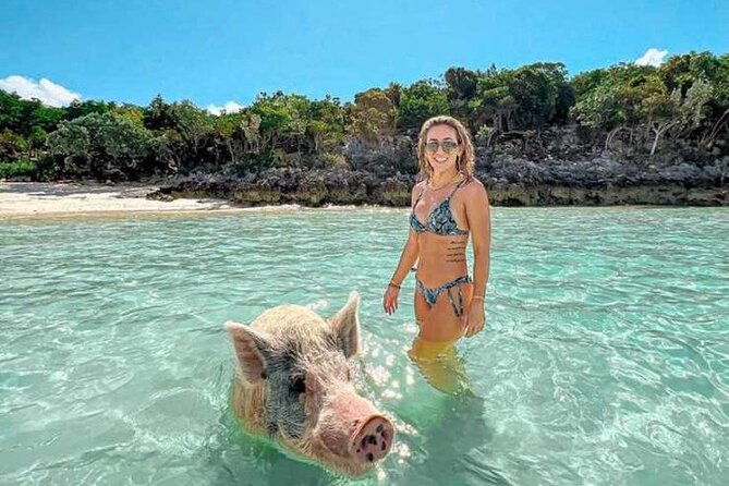 Swim With Pigs & Snorkeling With Turtles Cay Hopping in Bahamas - Tour Operator Insights