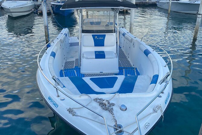 Swim With Pigs & Snorkeling With Turtles Cay Hopping in Bahamas - Transportation and Logistics Details