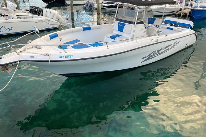 Swim With Pigs & Snorkeling With Turtles Cay Hopping in Bahamas - Swim With Pigs Highlights
