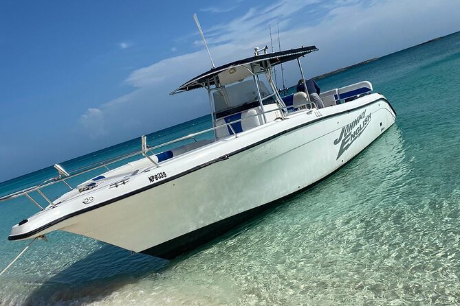 Swim With Pigs & Snorkeling With Turtles Cay Hopping in Bahamas - Snorkeling With Turtles Experiences