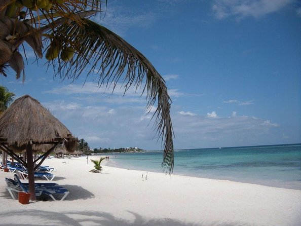 Swim With Sea Turtles - Key Points