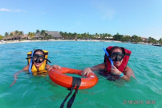 Swim With Sea Turtles - What to Expect