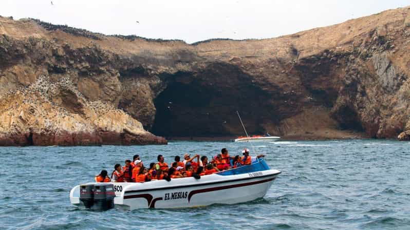 Swim With Sealion on Palomino Island - What to Bring