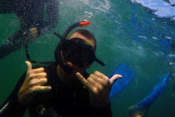 Swim With Seals - Confirmation and Booking Information
