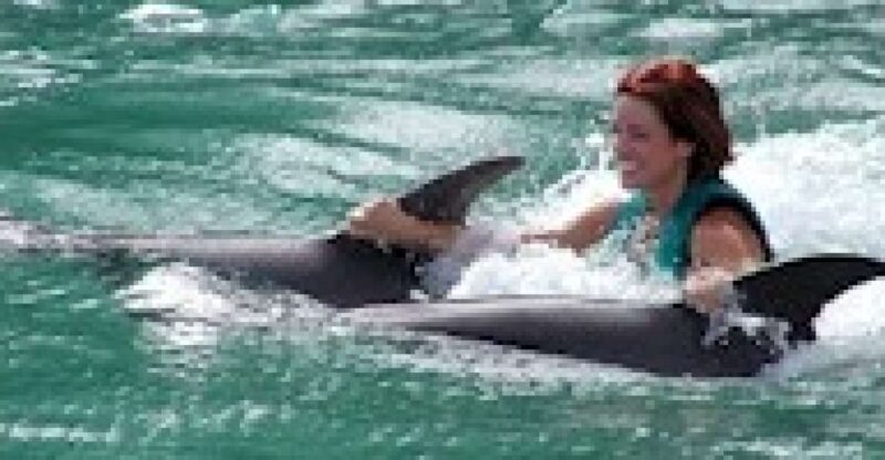 Swim With the Dolphins at Negrils Dolphin Cove - Participant Requirements