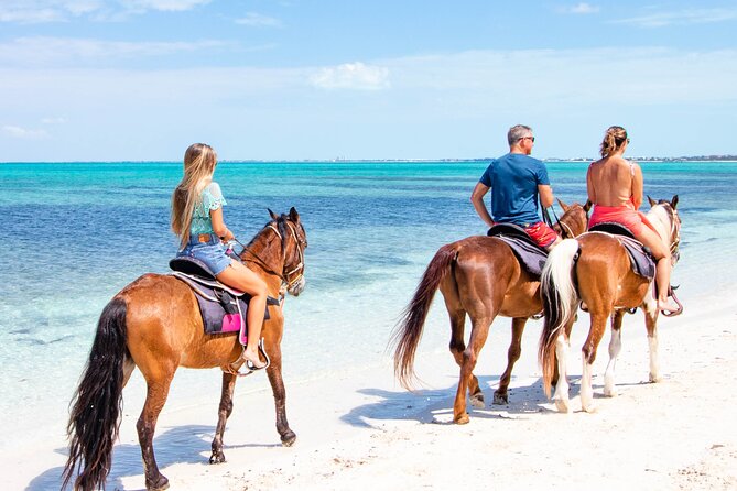 Swim With the Horses Private Tour - Tour Overview and Experience