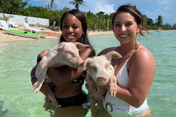 Swim With the Pigs and Explore Caves in Nassau - About Your Stay