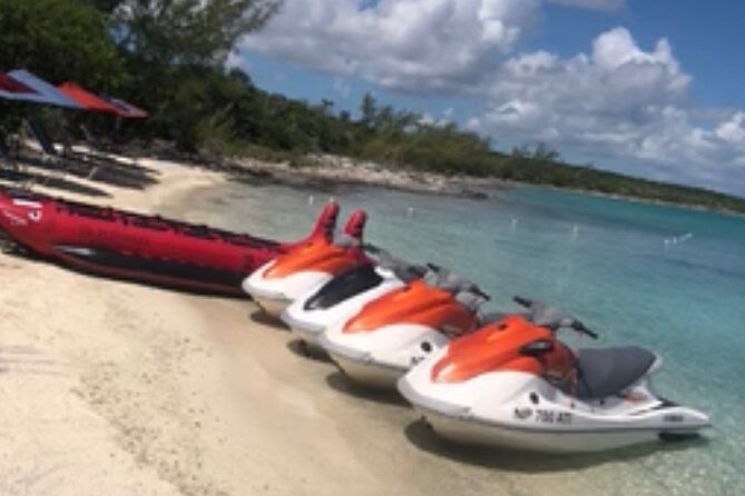 Swim With the Pigs and Explore Caves in Nassau - Accessibility and Participation
