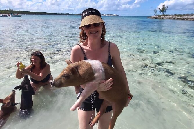 Swim With the Pigs and Explore Caves in Nassau - Swimming With the Pigs