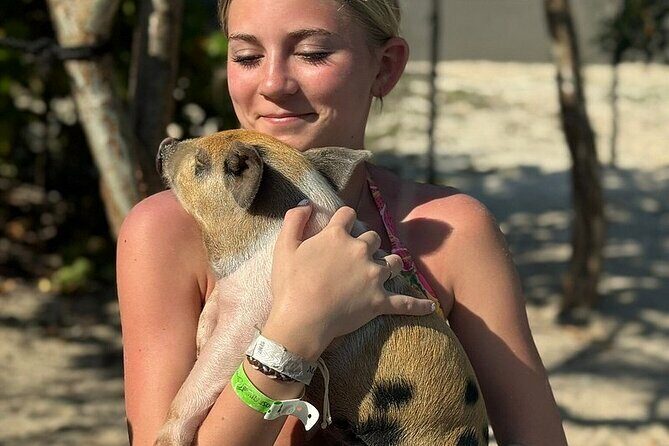 Swim with the Pigs Freeport @Creative Eco Adventures - What Makes This Tour Stand Out?