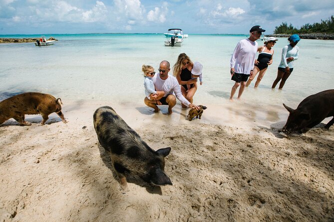 Swim With the Pigs! Half Day Harbour Island Private Boat Tour - Inclusions and Amenities