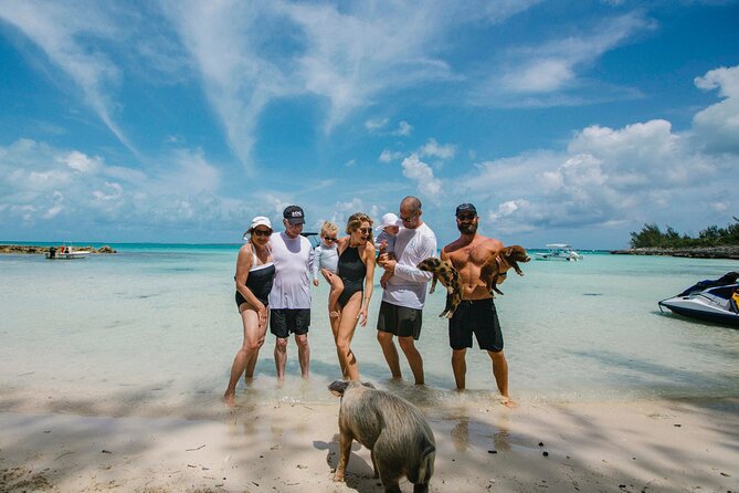 Swim With the Pigs! Half Day Harbour Island Private Boat Tour - Booking Information