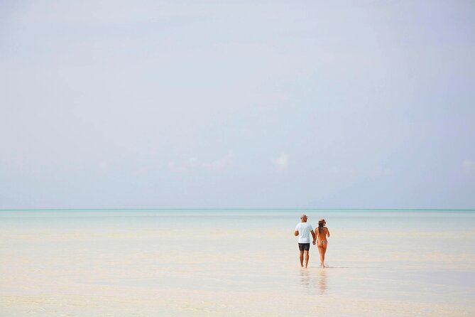 Swim With the Pigs! Half Day Harbour Island Private Boat Tour - Private Boat Tour
