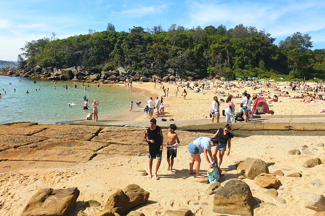 Swim With the Queen of the English Channel in New South Wales - Accessibility Details