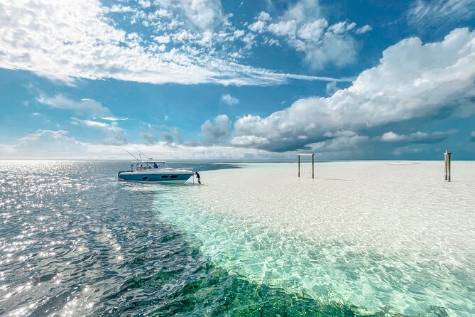 Swim With the Turtles! Harbour Island Luxury Private Boat Tour - Additional Information