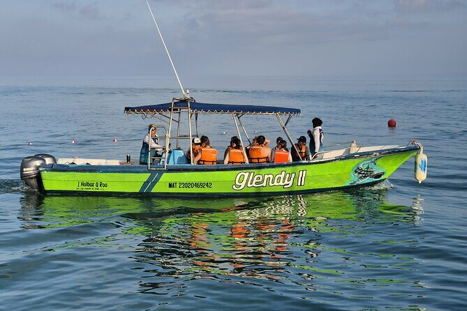 Swim with the Whale Shark on Holbox Island - A Complete Look at the Experience