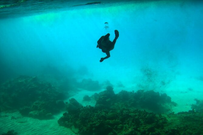 Swim With Turtles at Turtle Bay, Curacao: Boat, Blue Room Cave - Boat Ride and Transportation Details