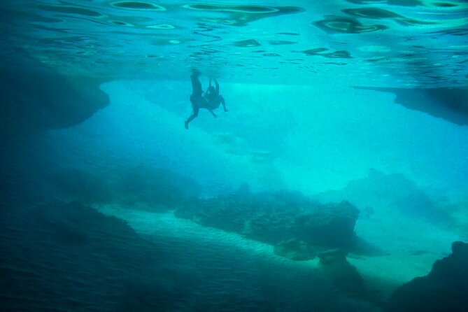 Swim With Turtles at Turtle Bay, Curacao: Boat, Blue Room Cave - Accessibility and Traveler Considerations