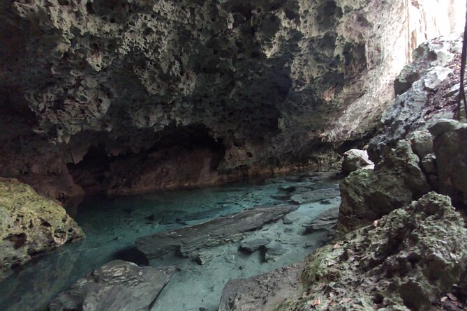 Swim With Turtles + ATV + Ziplines + Cenote + Lunch - Participant Guidelines