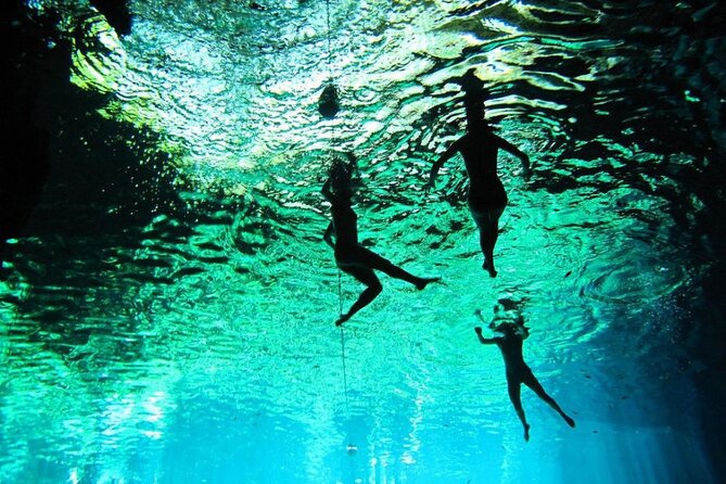 Swim With Turtles + ATV + Ziplines + Cenote + Lunch - Customer Feedback