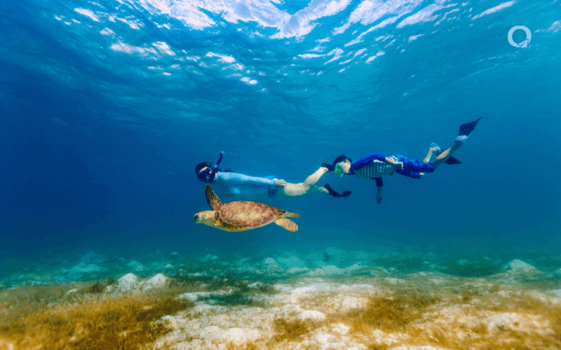 Swim With Turtles Tour in Akumal & Cenote, From Cancun, Riviera Maya - Key Points