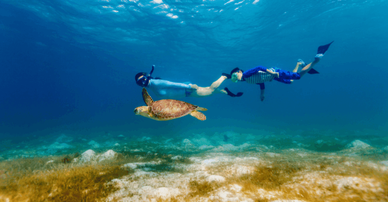 Swim With Turtles Tour in Akumal & Cenote, From Cancun, Riviera Maya - Pickup Locations and Transportation