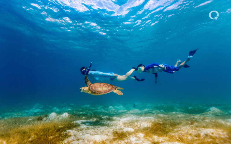 Swim With Turtles Tour in Akumal & Cenote, From Cancun, Riviera Maya - Snorkeling With Sea Turtles