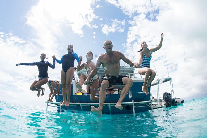 Swim With Whale Sharks in the Ningaloo Reef: 3 Island Shark Dive - Pickup and Meeting