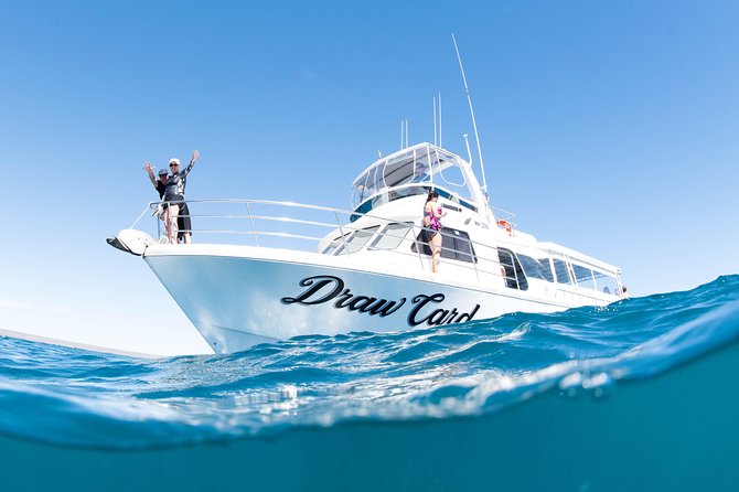 Swim With Whale Sharks in the Ningaloo Reef: 3 Island Shark Dive - Additional Details
