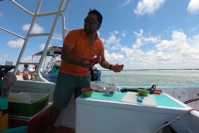 Swim with whale sharks on a private tour - Who Should Book This Tour?