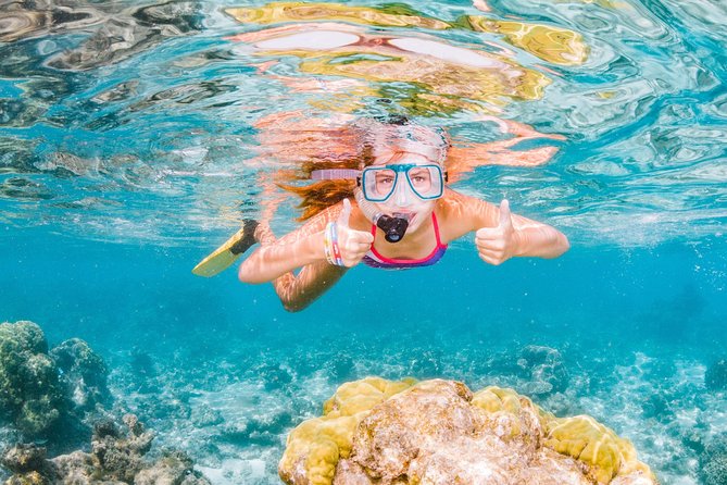 Swim With Whale Sharks- the Largest Fish in the World! - Accessibility and Fitness Level