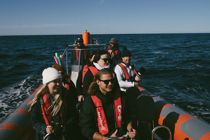 Swim With Whales Gold Coast - In-Water Support and Equipment